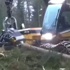 Video: Kurtla Poz Verirken Az Daha Kolunu Kaptırıyordu