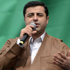 Demirtaş'tan 'İzleme heyeti' açıklaması