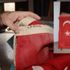 Anzak askeri alıp bir sandıkta saklamış! 100 yıllık Türk Bayrağı vatana döndü