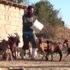 ISPARTA Aylık 6 bin lira maaşı bırakıp, çocukluk aşkı ... ISPARTA Aylık 6 bin lira maaşı bırakıp, çocukluk aşkı ...