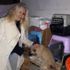 Yaralı ve hasta 2 kedi ve 3 köpek için gece yarısı ...