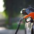 Son dakika: Motorin fiyatları ne kadar oldu? 9 Eylül İstanbul, Ankara, İzmir motorin litre fiyatları...