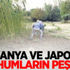 Almanya ve Japonya o tohumların peşinde!