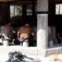 Teröristlerden temizledikleri camide namaz kıldılar Teröristlerden temizledikleri camide namaz kıldılar