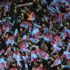 Trabzonspor-Beşiktaş maçının biletleri tükendi