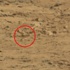 Mars'ta tabut bulunduğu iddia edildi!