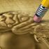 Alzheimer ile ilgili doğru sanılan 10 yanlış Alzheimer ile ilgili doğru sanılan 10 yanlış