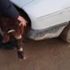 Video: Müge Anlı üzüntüden ne diyeceğini bilemedi. Canlı yayında itiraf etti