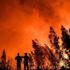 Portekiz'deki orman yangınında yaralı sayısı 31'e çıktı