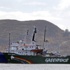 Greenpeace gemisine el koyan Rusya'ya tazminat cezası