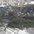 Bağdat Caddesi’nde ağaç yol ortasına devrildi Bağdat Caddesi’nde ağaç yol ortasına devrildi