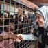 Emine Erdoğan'dan Arakan açıklaması: Suçlular cezalandırılsın, masum halka bunlar yapılamaz
