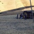 Muş Bulanık'ta hain saldırı Muş Bulanık'ta hain saldırı
