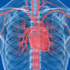 Stent sonrası 6 aya dikkat! Stent sonrası 6 aya dikkat!