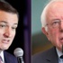 Wisconsin'de zafer Cruz ve Sanders'ın