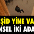 Kazakistan’da Ölü Bulunan Akademisyenin Oğlundan Suikast İddiası Kazakistan’da Ölü Bulunan Akademisyenin Oğlundan Suikast İddiası
