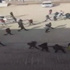 Ders sırasında molotofla saldırdılar!
