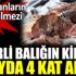 ﻿Zehirli balığın kilosu 10 ayda 4 kat arttı