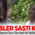 Polisler Şaştı Kaldı