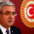 AKP'li Metiner: Gezi'de yapamadıklarını sandıkta yaptılar