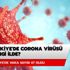 Türkiye'de corona virüsü hangi ilde? Corona virüsü Türkiye'de nerede?