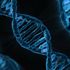Tüketilen gıdanın DNA'ya 'net' etkileri tespit edildi Tüketilen gıdanın DNA'ya 'net' etkileri tespit edildi