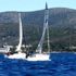 Yelken: SCHÜCO-BAYK Kış Trofesi