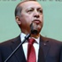 Akademisyenlerle başkanlık sistemini konuşacak