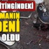 Patlamanın nedeni belli oldu