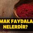 Sumak faydaları nelerdir? Sumak koronavirüse iyi gelir mi?