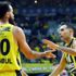 Fenerbahçe Beko, THY Avrupa Ligi'nde ALBA Berlin'e konuk olacak