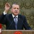 Erdoğan'ın beklediği sanatçı: Slogan atmayacak, şikayet etmeyecek, polemik yapmayacak...