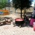 Belsin de domatesler salça oluyor, kazanlar kaynıyor