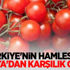 Türkiye'nin hamlesine Rusya'dan karşılık geldi. Türkiye'nin hamlesine Rusya'dan karşılık geldi.