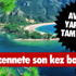 Hindistan'da askeri uçak düştü