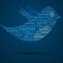 Twitter’a erişim yeniden sağlandı