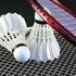 Badmintonda bir zafer daha
