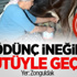 Bu Nasıl Yeni Türkiye Bu Nasıl Yeni Türkiye