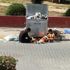 Çöpün önündeki Suriyeliler'in fotoğrafı gündem oldu Çöpün önündeki Suriyeliler'in fotoğrafı gündem oldu