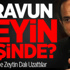 Mısır'dan Türkiye'ye Zeytin Dalı!