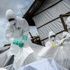 Ebola aşısında yüzde 100 başarı
