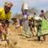 Kenya'da kuralık nedeniyle çok sayıda kişi açlık tehdidi altında Kenya'da kuralık nedeniyle çok sayıda kişi açlık tehdidi altında
