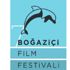 Online festival! Online festival!