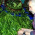 'Çengelköyü bademi' tarih oldu
