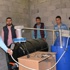 'Üniversiteliler biyogaz üretti'