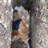 Yalova’da köpeklerin zehirlendiği iddiası hayvanseverleri harekete geçirdi Yalova’da köpeklerin zehirlendiği iddiası hayvanseverleri harekete geçirdi