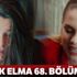 Yasak Elma 68. bölüm full tek parça izle (Yasak Elma Son Bölüm İzle)