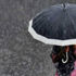 Meteoroloji'den İstanbul için uyarı: Hafta sonu hava nasıl olacak?