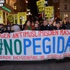 Avusturya’da “PEGIDA” protestosu Avusturya’da “PEGIDA” protestosu