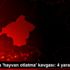 Isparta da hayvan otlatma kavgası: 4 yaralı Isparta da hayvan otlatma kavgası: 4 yaralı